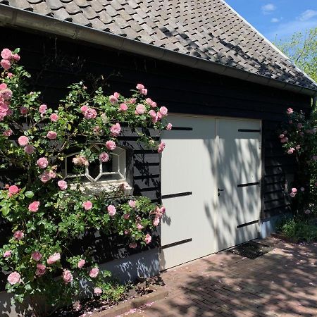 De Porrel Polsbroek Unit Met Prive Jacuzzi, Spa En Sauna Extérieur photo